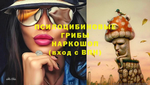 a pvp Каменск-Шахтинский